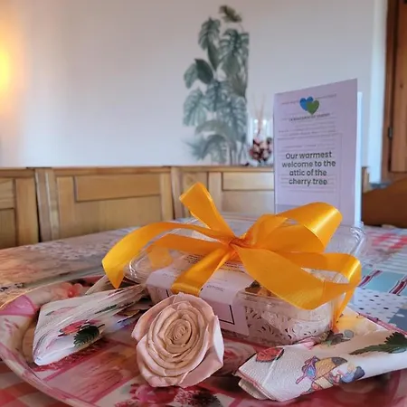 La Mansarda Del Ciliegio - Deliziosa Mansarda Con Giardino A 6 Km Da *