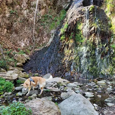La Mansarda Del Ciliegio - Deliziosa Mansarda Con Giardino A 6 Km Da Appartement
