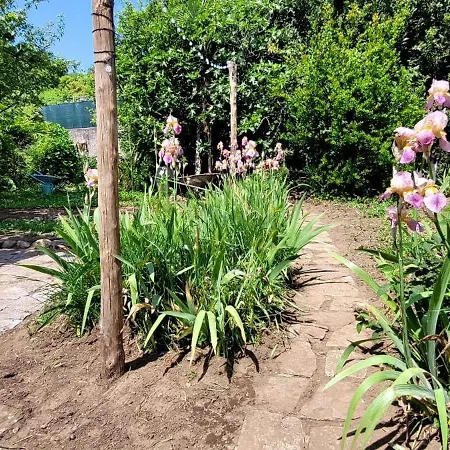 Apartment La Mansarda Del Ciliegio - Deliziosa Mansarda Con Giardino A 6 Km Da *
