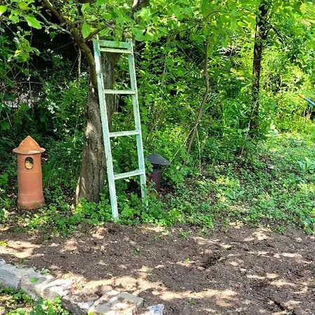Apartment La Mansarda Del Ciliegio - Deliziosa Mansarda Con Giardino A 6 Km Da